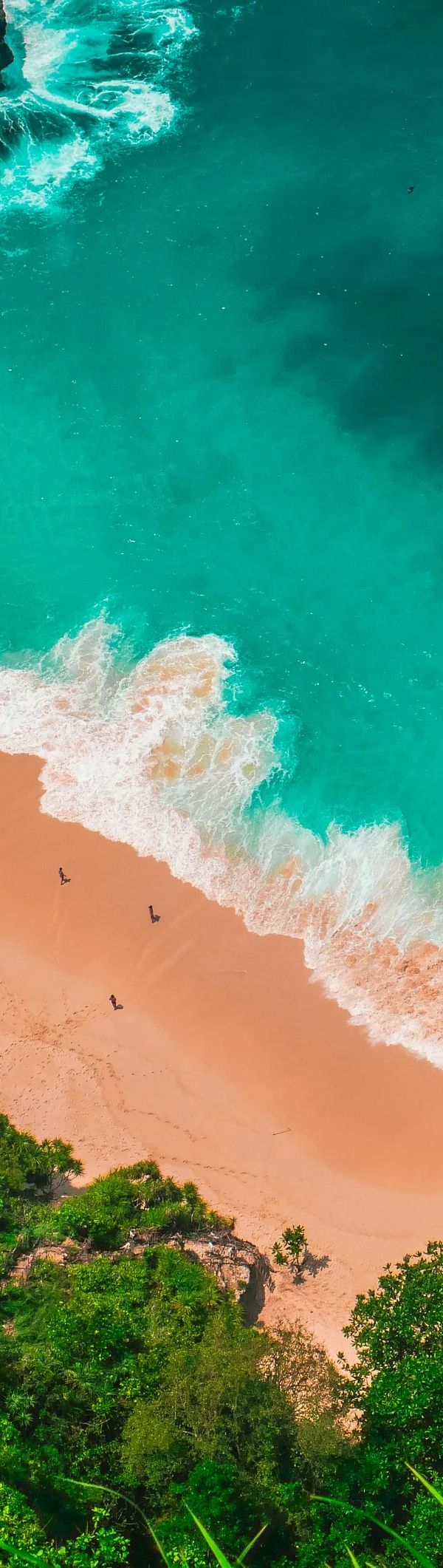 كوالالمبور وجزيرة بالي