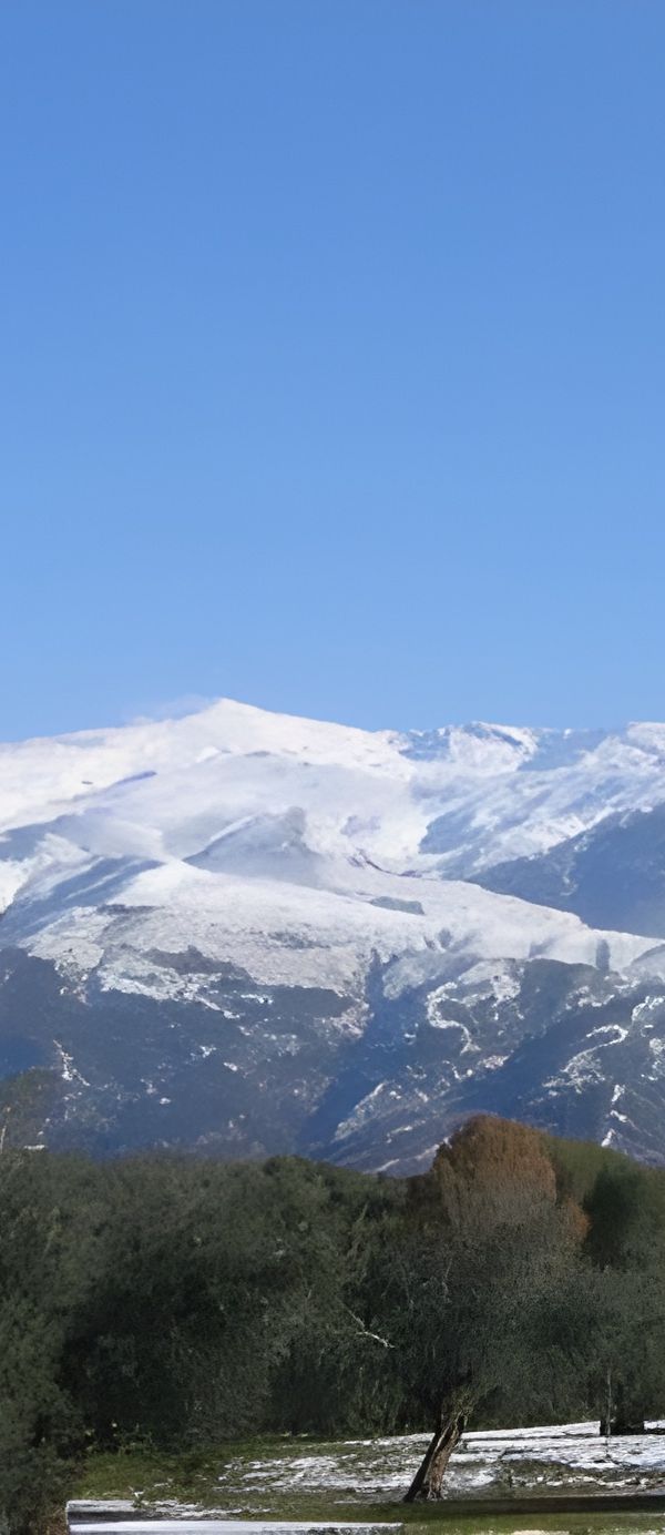 سليمانية  (رحلة الشتاء) - العراق